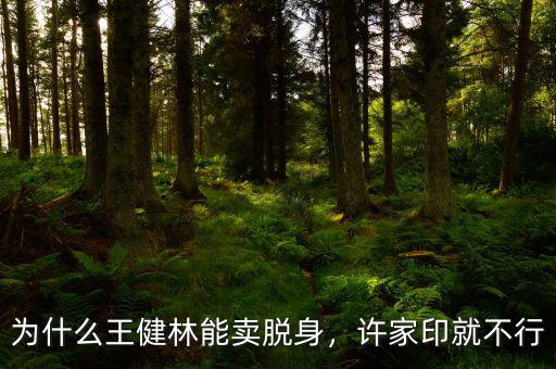 為什么王健林能賣脫身，許家印就不行