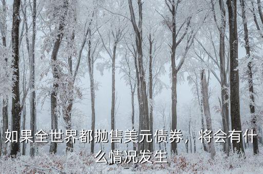 如果全世界都拋售美元債券，將會(huì)有什么情況發(fā)生