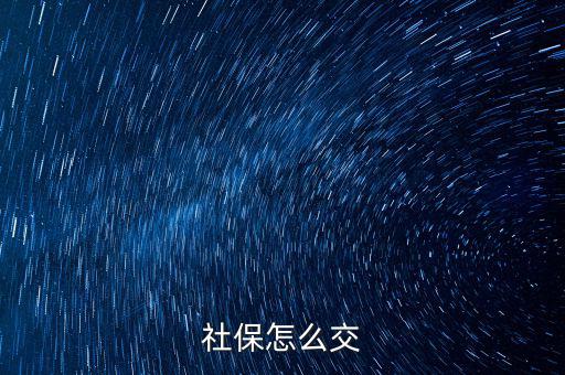 社會保障金怎么交,農民怎樣交社保