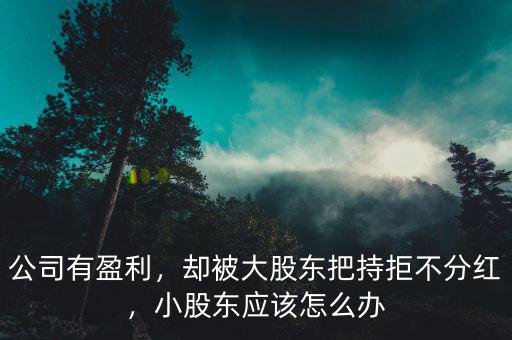 公司有盈利，卻被大股東把持拒不分紅，小股東應(yīng)該怎么辦