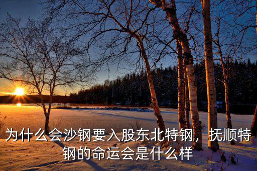 為什么會沙鋼要入股東北特鋼，撫順特鋼的命運會是什么樣