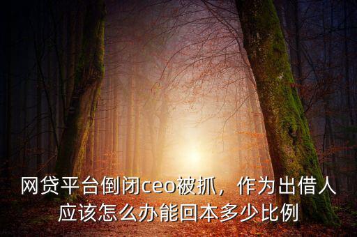 網(wǎng)貸平臺(tái)倒閉ceo被抓，作為出借人應(yīng)該怎么辦能回本多少比例