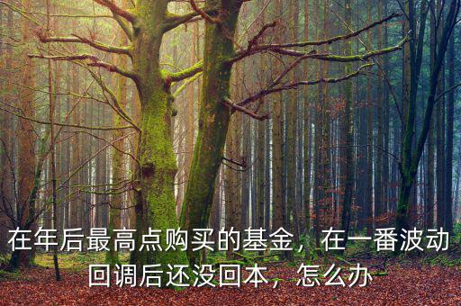 在年后最高點(diǎn)購買的基金，在一番波動(dòng)回調(diào)后還沒回本，怎么辦