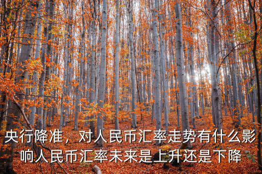 央行降準(zhǔn)，對(duì)人民幣匯率走勢(shì)有什么影響人民幣匯率未來是上升還是下降