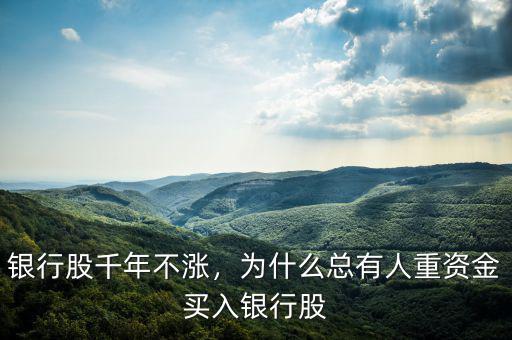 銀行股千年不漲，為什么總有人重資金買入銀行股