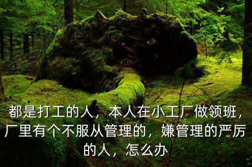 都是打工的人，本人在小工廠做領(lǐng)班，廠里有個(gè)不服從管理的，嫌管理的嚴(yán)厲的人，怎么辦
