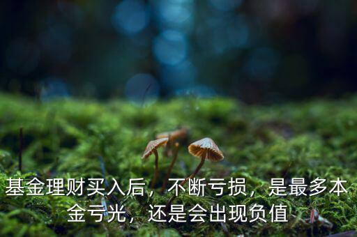 基金理財買入后，不斷虧損，是最多本金虧光，還是會出現(xiàn)負值