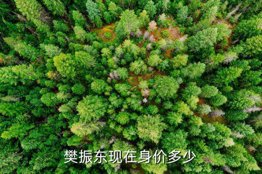 紀學(xué)鋒身價多少,陳夢現(xiàn)在身價多少