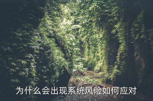 為什么會(huì)出現(xiàn)系統(tǒng)風(fēng)險(xiǎn)如何應(yīng)對(duì)