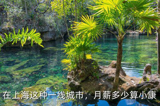 在上海這種一線城市，月薪多少算小康