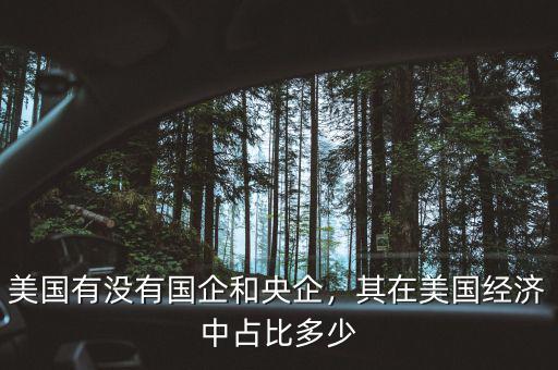 美國有沒有國企和央企，其在美國經(jīng)濟中占比多少