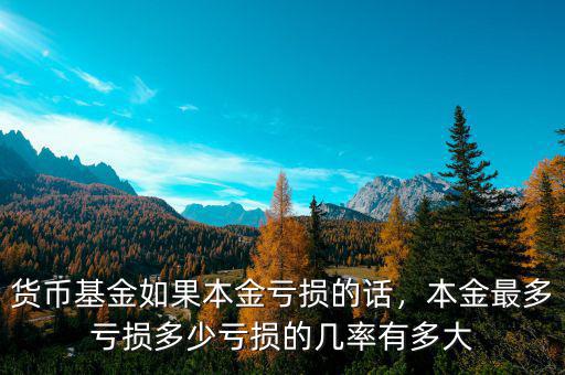 貨幣基金如果本金虧損的話，本金最多虧損多少虧損的幾率有多大