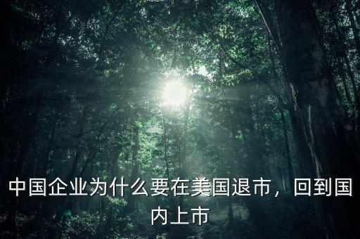 中國(guó)企業(yè)為什么要在美國(guó)退市，回到國(guó)內(nèi)上市