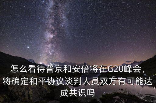 怎么看待普京和安倍將在G20峰會，將確定和平協(xié)議談判人員雙方有可能達(dá)成共識嗎