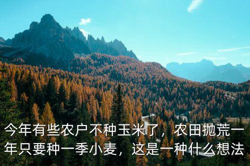 今年不種玉米種什么,今年有些農戶不種玉米了