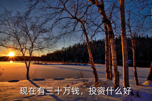 現(xiàn)在有三十萬(wàn)錢，投資什么好