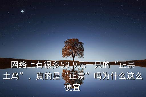 網絡上有很多59.9元一只的“正宗土雞”，真的是“正宗”嗎為什么這么便宜