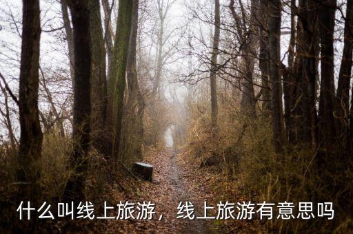 什么叫線上旅游，線上旅游有意思嗎