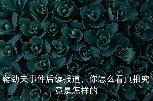 蔣勁夫事件后續(xù)報道，你怎么看真相究竟是怎樣的