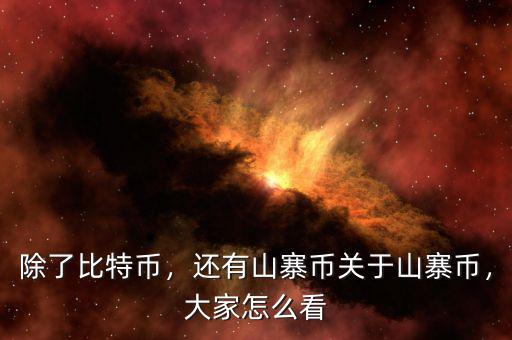 除了比特幣，還有山寨幣關(guān)于山寨幣，大家怎么看