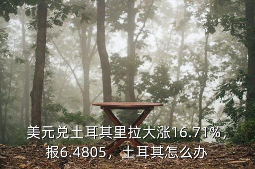 美元兌土耳其里拉大漲16.71%，報(bào)6.4805，土耳其怎么辦
