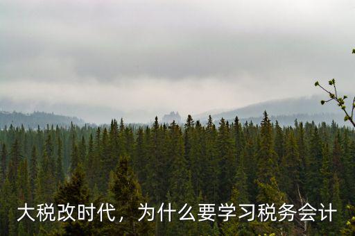 大稅改時(shí)代，為什么要學(xué)習(xí)稅務(wù)會(huì)計(jì)