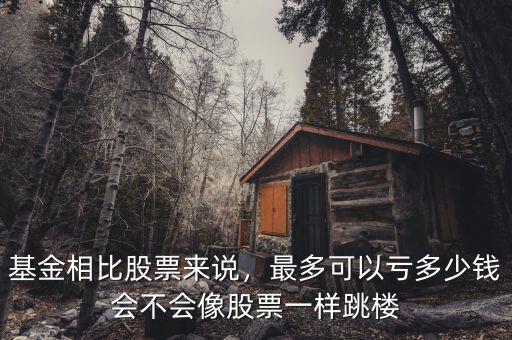基金相比股票來說，最多可以虧多少錢會不會像股票一樣跳樓