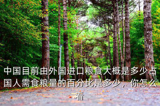 中國目前由外國進(jìn)口糧食大概是多少占國人需食糧量的百分比是多少，你怎么看