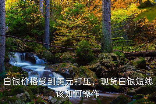 白銀價(jià)格受到美元打壓，現(xiàn)貨白銀短線該如何操作