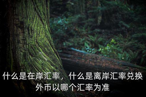 什么是在岸匯率，什么是離岸匯率兌換外幣以哪個(gè)匯率為準(zhǔn)