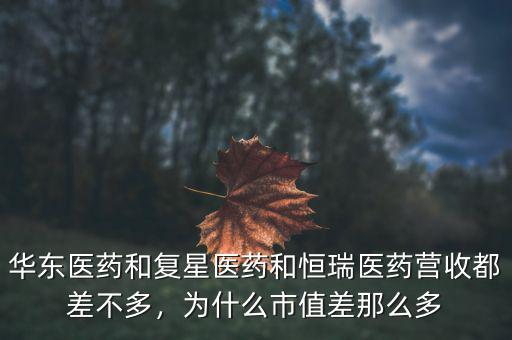 華東醫(yī)藥和復(fù)星醫(yī)藥和恒瑞醫(yī)藥營收都差不多，為什么市值差那么多