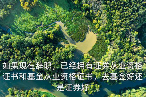 如果現(xiàn)在辭職，已經(jīng)擁有證券從業(yè)資格證書和基金從業(yè)資格證書，去基金好還是證券好