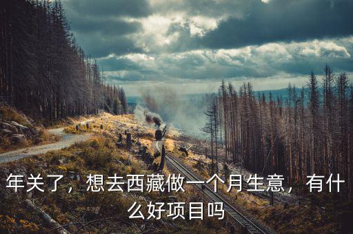 藏區(qū)做什么賺錢(qián),在西藏做什么生意賺錢(qián)