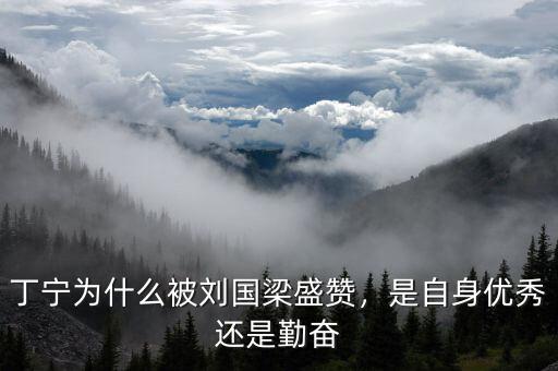 丁寧為什么被劉國(guó)梁盛贊，是自身優(yōu)秀還是勤奮