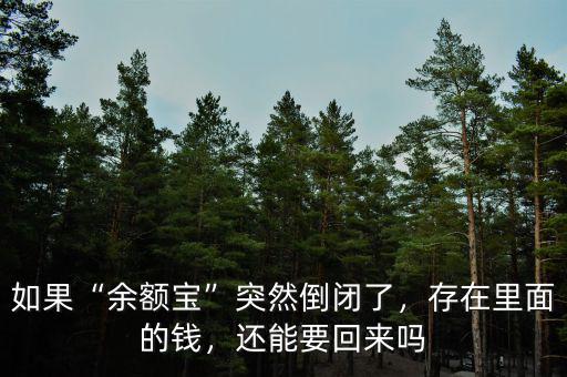 如果“余額寶”突然倒閉了，存在里面的錢，還能要回來嗎