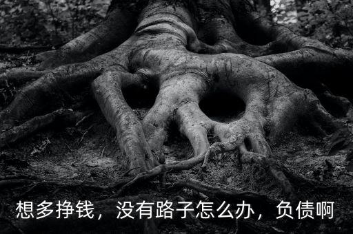 想多掙錢，沒有路子怎么辦，負(fù)債啊