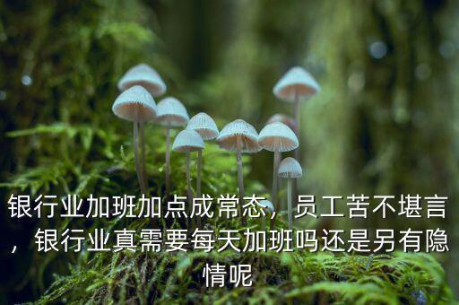 銀行業(yè)加班加點(diǎn)成常態(tài)，員工苦不堪言，銀行業(yè)真需要每天加班嗎還是另有隱情呢