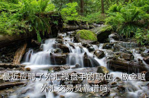 最近應聘了外匯操盤手的職位，做金融外匯交易員靠譜嗎