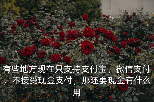 有些地方現(xiàn)在只支持支付寶、微信支付，不接受現(xiàn)金支付，那還要現(xiàn)金有什么用