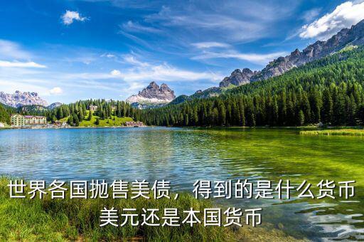 世界各國(guó)拋售美債，得到的是什么貨幣美元還是本國(guó)貨幣