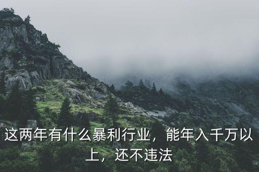 這兩年有什么暴利行業(yè)，能年入千萬以上，還不違法
