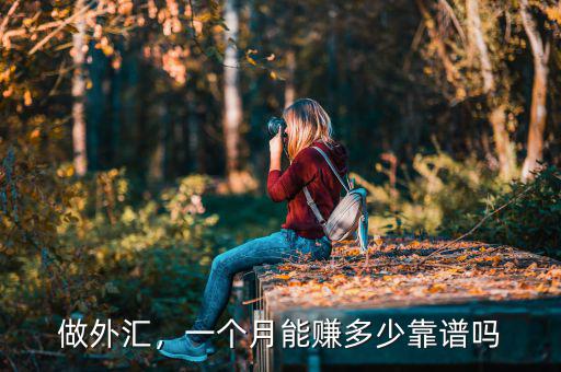 做外匯，一個(gè)月能賺多少靠譜嗎