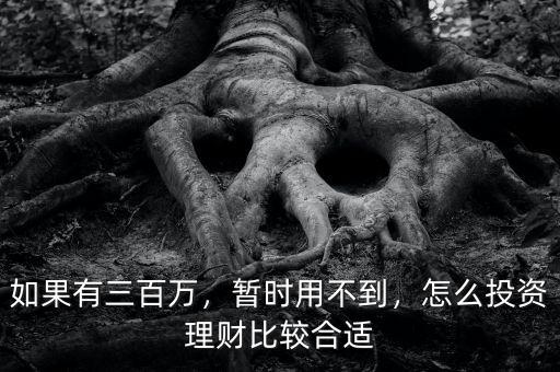 如果有三百萬(wàn)，暫時(shí)用不到，怎么投資理財(cái)比較合適