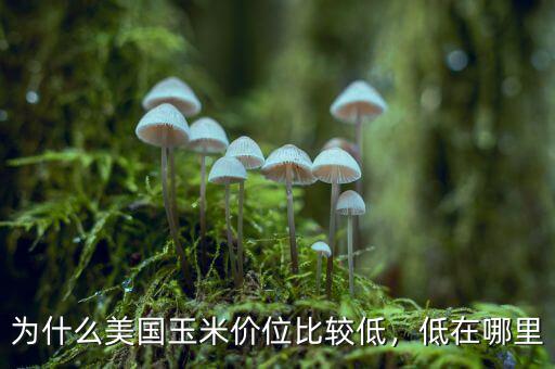為什么美國玉米價位比較低，低在哪里
