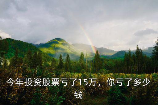 今年投資股票虧了15萬，你虧了多少錢