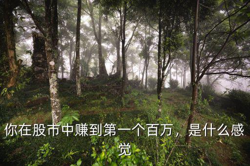 你在股市中賺到第一個百萬，是什么感覺