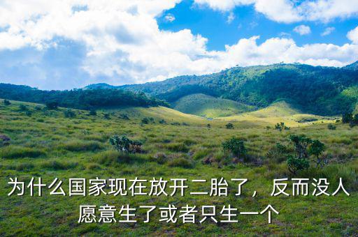 為什么國(guó)家現(xiàn)在放開二胎了，反而沒(méi)人愿意生了或者只生一個(gè)