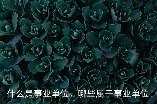 什么是事業(yè)單位，哪些屬于事業(yè)單位