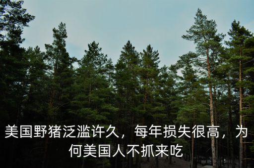 美國野豬泛濫許久，每年損失很高，為何美國人不抓來吃