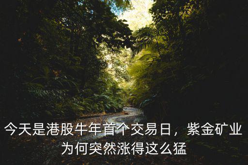 今天是港股牛年首個(gè)交易日，紫金礦業(yè)為何突然漲得這么猛